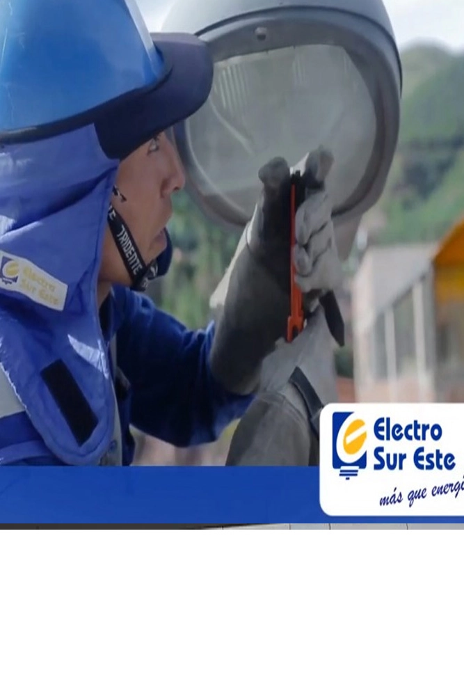 ELECTRO SUR